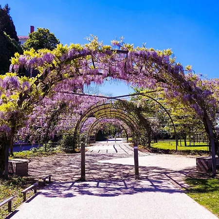 アパート Le Chateau *