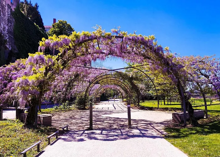 Appartement Le Chateau *